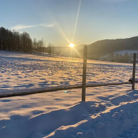 Domki Pod Lasem - Domek Brzozowy Stronie Śląskie Esterno foto
