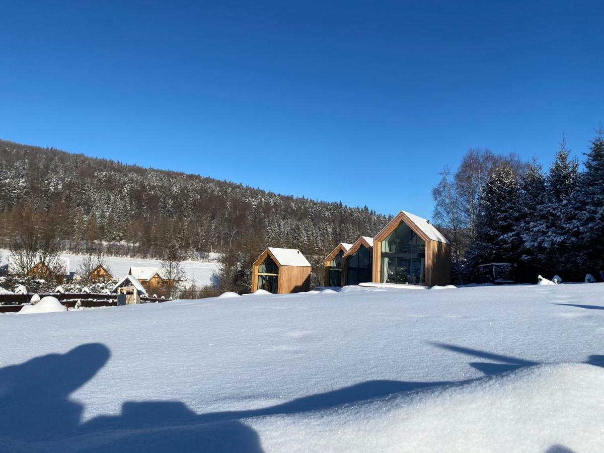 Pod Lasem - Brzozowy Holiday home Stronie Slaskie