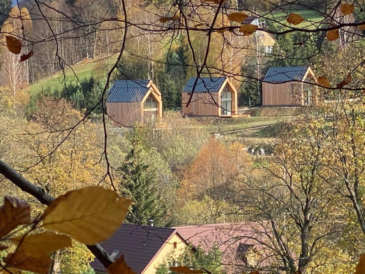 Holiday home Pod Lasem - Brzozowy Stronie Slaskie
