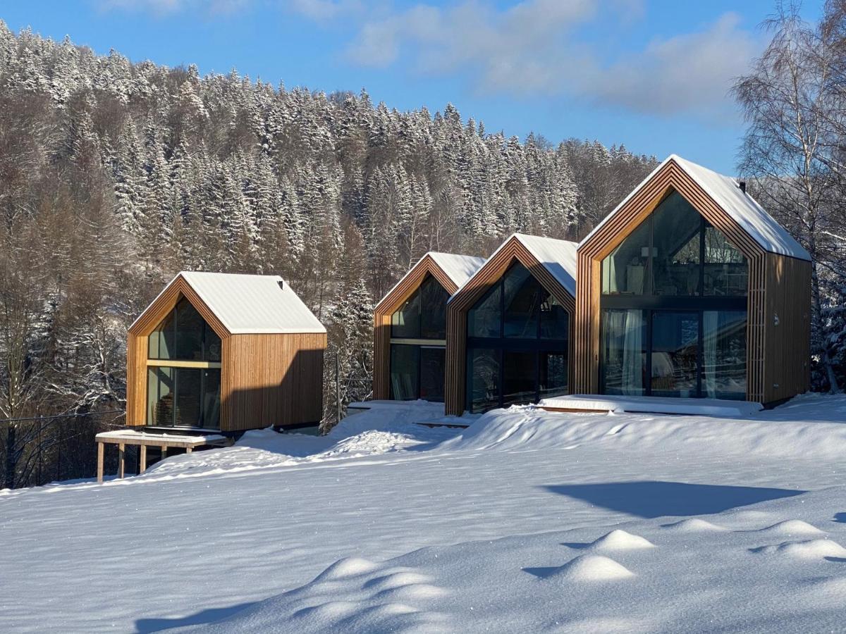 Pod Lasem - Brzozowy Holiday home *