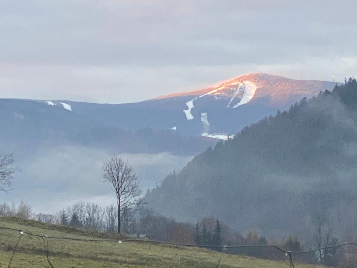 Pod Lasem - Brzozowy Stronie Slaskie