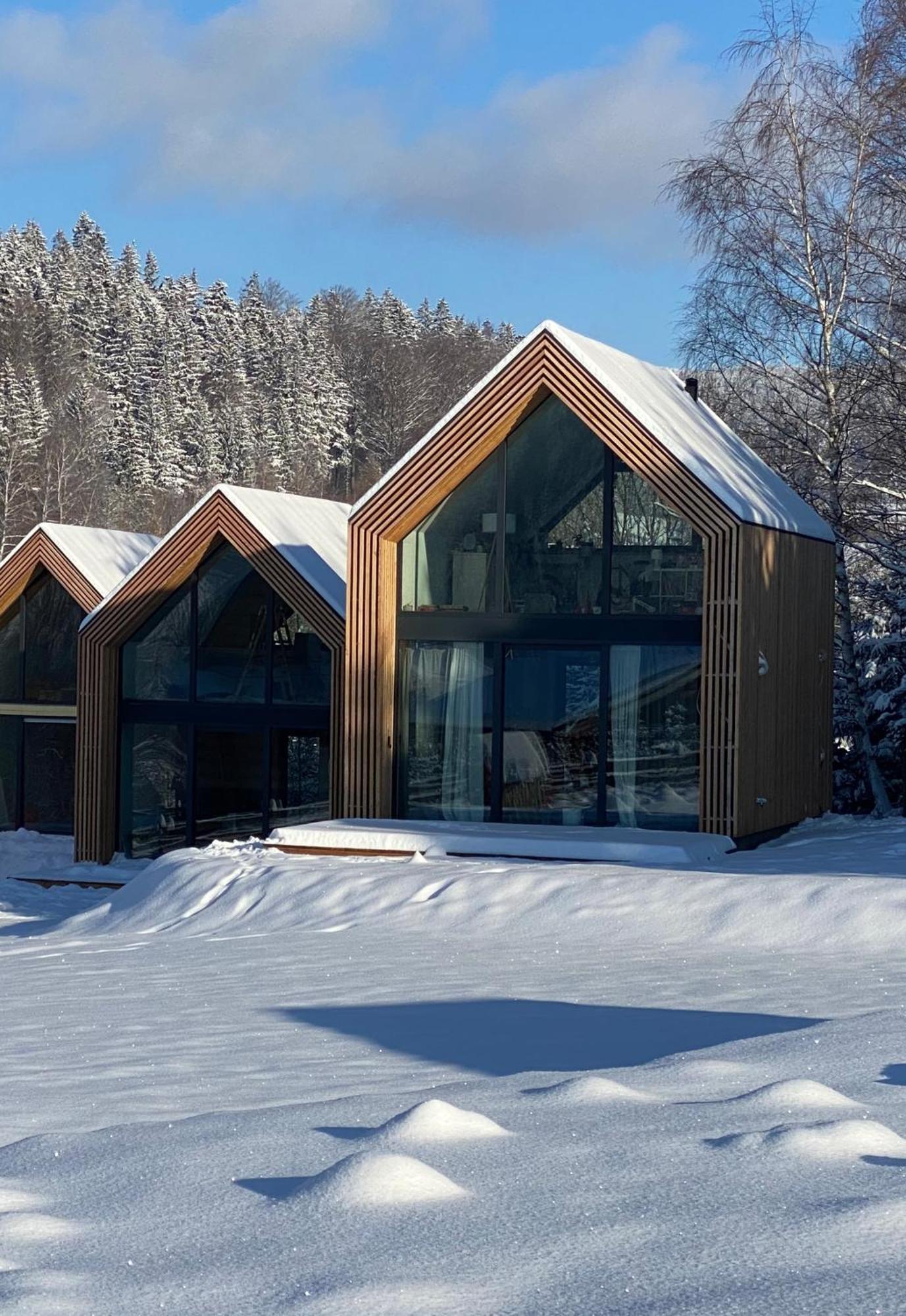 Pod Lasem - Brzozowy Holiday home
